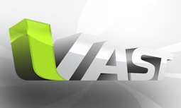 Vast